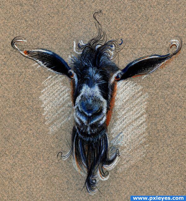 Creation of Blue goat: Final Result
